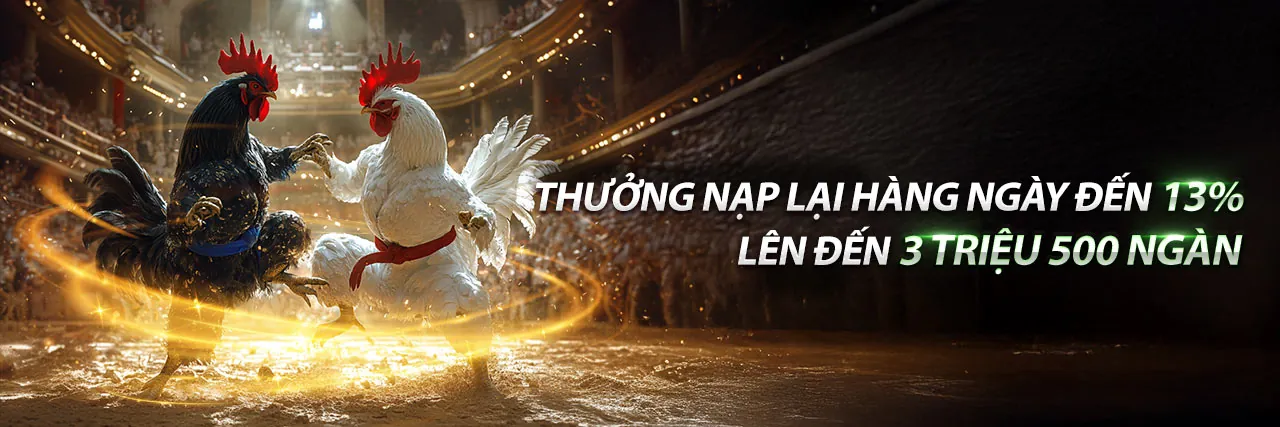 Hình ảnh đá gà trực tuyến sôi động tại U888